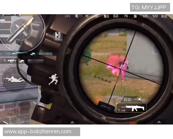 2026年3月份新闻和平精英热议WE战队耐力问题引发玩家热烈讨论与反思